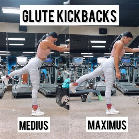 glute max kickback|Glute Max Kickback